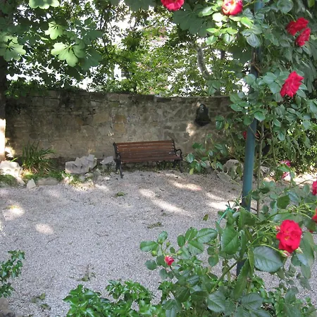 Fausta ترييستي