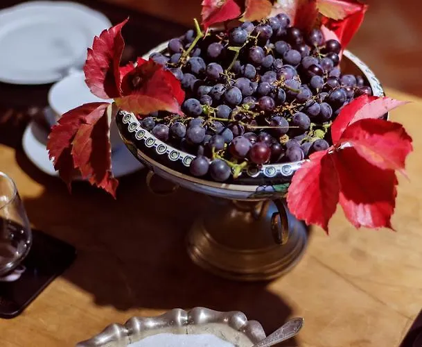 Bed & Breakfast Fausta Trieste